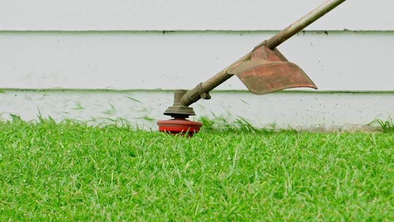 Best Hedge Trimming  in USA